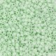 Miyuki delica beads 11/0 - Opaque light mint DB-1496